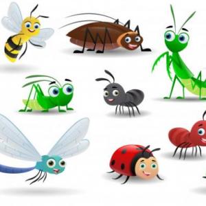 Imagen de portada del videojuego educativo: Jugando con los insectos., de la temática Biología