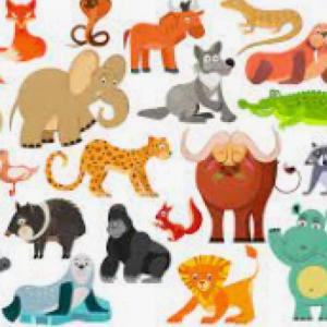 Descubriendo animales
