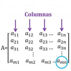 tipos de matrices