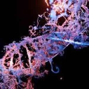 Test de Conocimientos sobre Ácidos Nucleicos