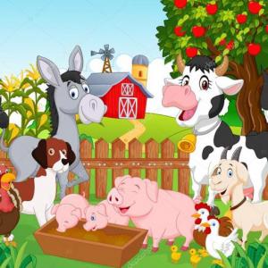 Conociendo animales domésticos