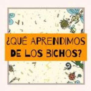 ¿QUÉ APRENDIMOS SOBRE LOS BICHOS?
