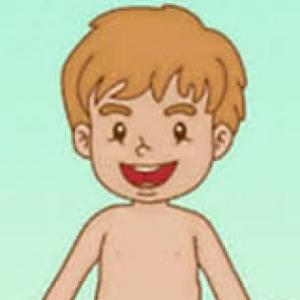 El cuerpo humano