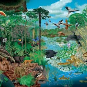 REINOS DE LA NATURALEZA