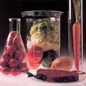 Tratamientos Termicos en alimentos