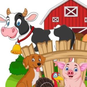 MEMORI DE ANIMALES