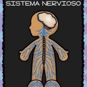 Imagen de portada del videojuego educativo: MEMORAMA DEL SISTEMA NERVIOSO, de la temática Ciencias