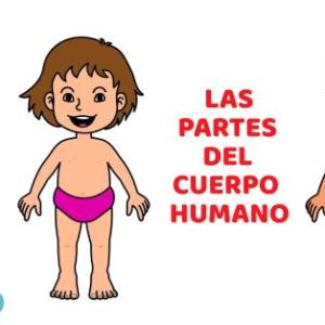 Juego de Memoria Visual - Mi cuerpo 