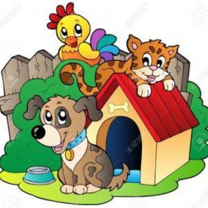 ANIMALES DOMÉSTICOS