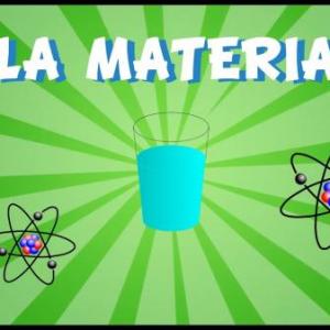¿Cuánto sabes de los niveles de organización de la materia?