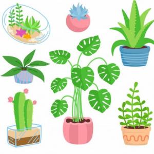 Mundo celular y vegetal