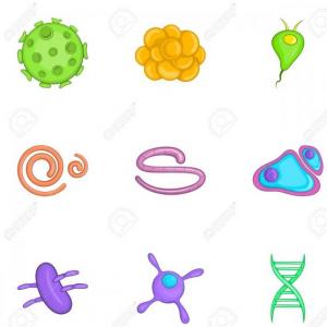 ¿Cuánto sabes de biología celular?