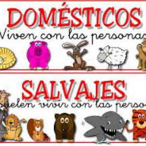 ANIMALES DOMÉSTICOS Y SALVAJES