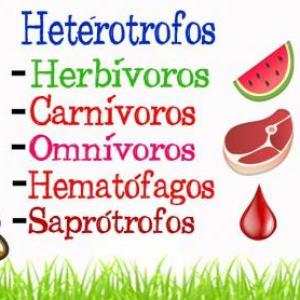 Imagen de portada del videojuego educativo: Tipos de nutrición, de la temática Biología