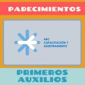 Padecimientos más comunes