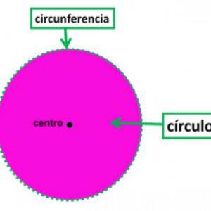 círculo y circunferencia