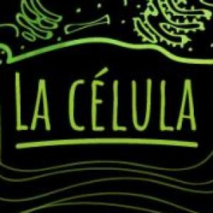 células