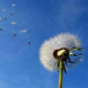 contaminacion del planeta