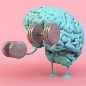 Plasticidad cerebral con números