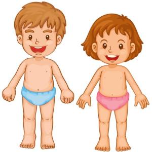 Partes del Cuerpo Humano
