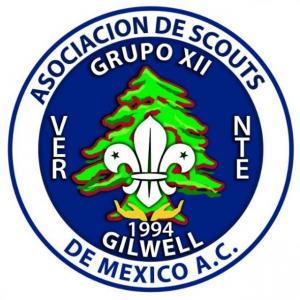 GRUPO 12 GILWELL VERACRUZ