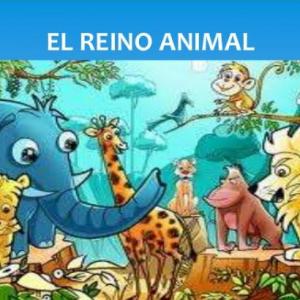 Reino animal y animales asombrosos