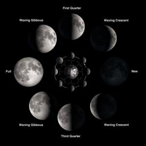La fases de la luna