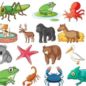 Animales vertebrados