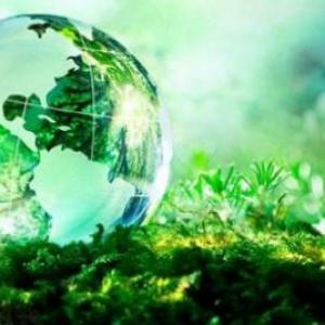 MEDIO AMBIENTE