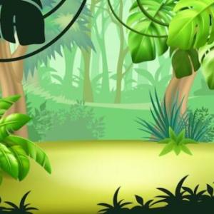 BUSCAMOS ANIMALES EN LA JUNGLA