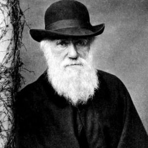 Darwin y la evolución