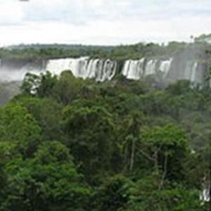 ANIMALES SELVA MISIONERA