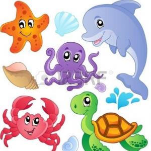 ANIMALES DEL MAR