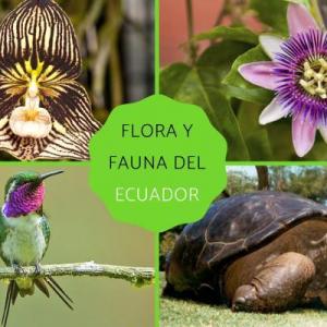 Flora y Fauna