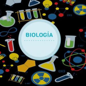 Imagen de portada del videojuego educativo: ¿Cuánto sabemos de Biología?, de la temática Biología