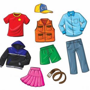 THE CLOTHES