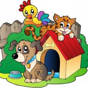JUEGO DE ANIMALITOS
