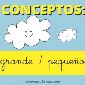 Noción de grande y pequeño 
