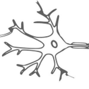 neurotransmisores