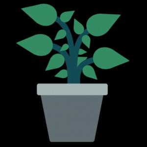 Las Plantas
