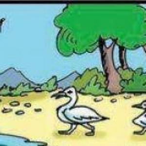 La contaminación