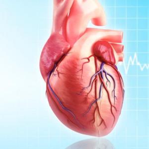 SISTEMA CARDIOCIRCULATORIO
