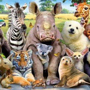 Animales salvajes