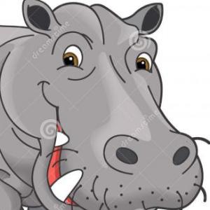 ANIMALES ASOMBROSOS Y DONDE ENCONTRAR SUS VOCALES
