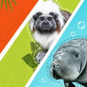 Animales de Colombia