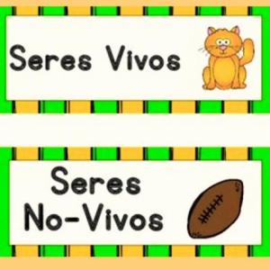 Seres vivos y no vivos