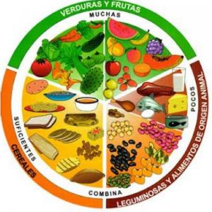 DESCUBRAMOS LOS ALIMENTOS SALUDABLES