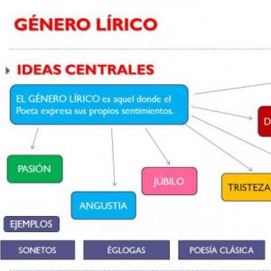 Imagen de portada del videojuego educativo: Preguntas y Respuestas Género Lírico, de la temática Lengua
