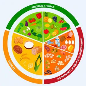 Grupos de alimentos