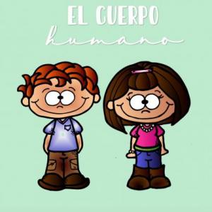 Partes del cuerpo humano